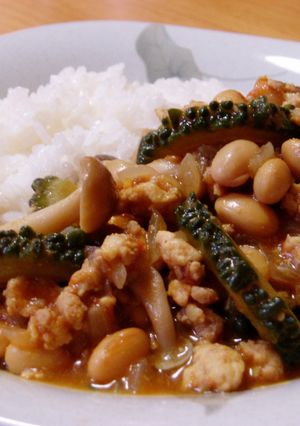 冷やしてもおいしい☆栄養満点ゴーヤカレー-レシピのメイン写真