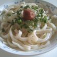 さっぱり♪梅おろしうどん