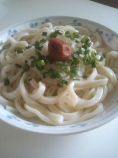 さっぱり♪梅おろしうどん-レシピのメイン写真