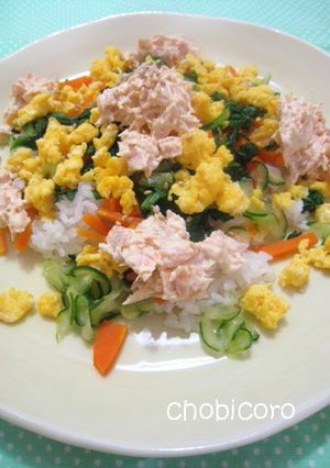 野菜も食べてね！鮭の超簡単☆ちらし寿司-レシピのメイン写真