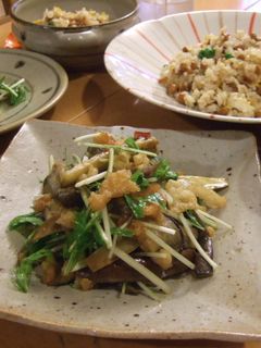 コクうま!茄子と水菜の揚げ玉和え♪-レシピのメイン写真