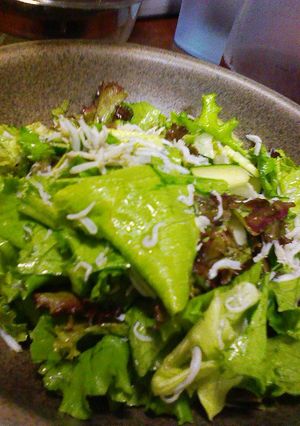 レタスサラダ-レシピのメイン写真
