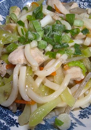 鶏むね肉で塩きんぴらの焼きうどん-レシピのメイン写真