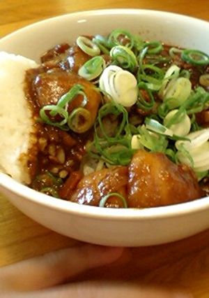 ねぎカレー♪-レシピのメイン写真