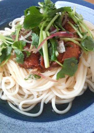 夏のランチに★サンマの蒲焼き缶で冷や麦★-レシピのメイン写真