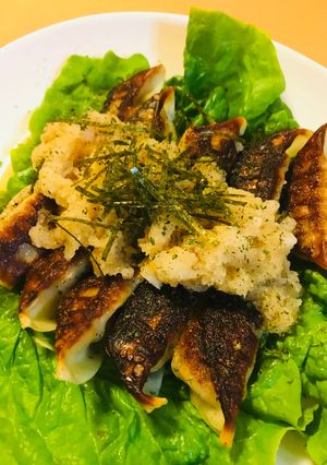レトルト餃子●大根おろしかけサンチュ盛り-レシピのメイン写真
