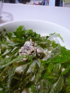 うめ~大葉冷やしうどん-レシピのメイン写真