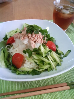サラダ素麺★のせるだけ♪おろし素麺-レシピのメイン写真