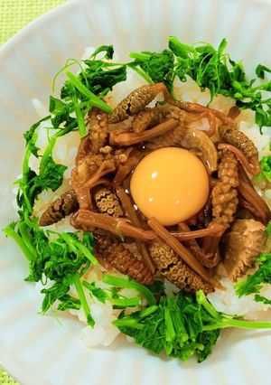 つくしの佃煮の巣ごもり丼-レシピのメイン写真