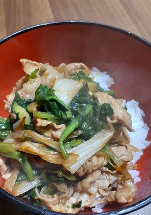 長ネギとホウレン草で♪アツアツ豚こま丼-レシピのメイン写真