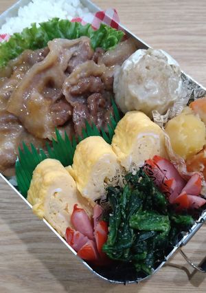 高校生お弁当　2024/9/17-レシピのメイン写真