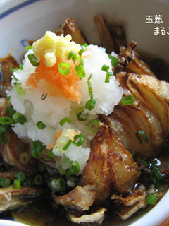 たまねぎ 玉葱まるごと-レシピのメイン写真