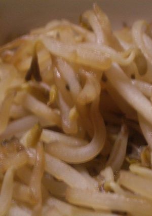 もやしの旨煮-レシピのメイン写真