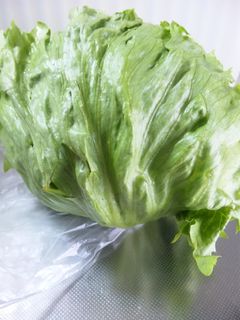 これで長持ち♪レタスの保存方法-レシピのメイン写真