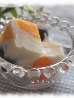 砂糖不使用☆はちみつヨーグルトアイス-レシピのメイン写真