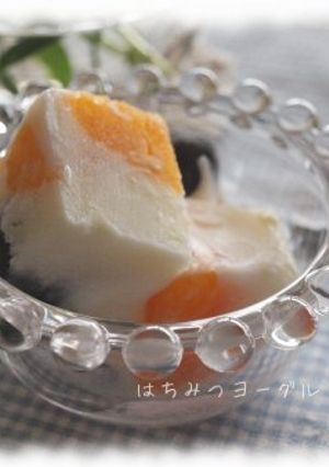 砂糖不使用☆はちみつヨーグルトアイス-レシピのメイン写真