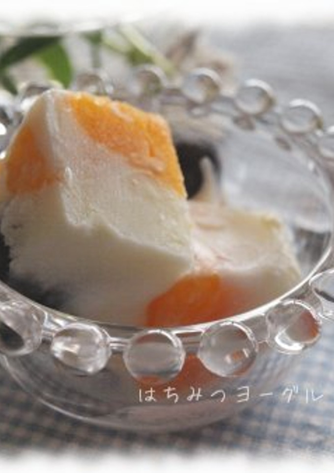 砂糖不使用☆はちみつヨーグルトアイス-レシピのメイン写真