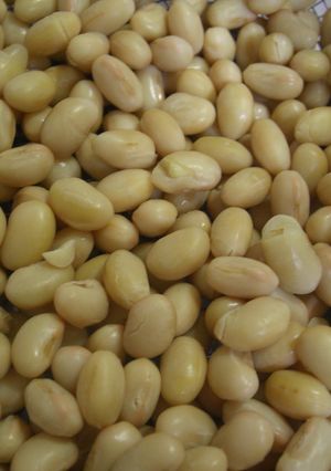 ☆活力鍋で★大豆の蒸し煮☆-レシピのメイン写真
