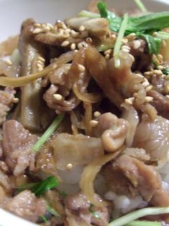 豚ごぼう丼-レシピのメイン写真