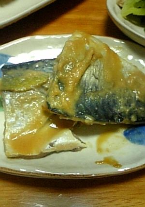 男性にウケた鯖の味噌煮-レシピのメイン写真