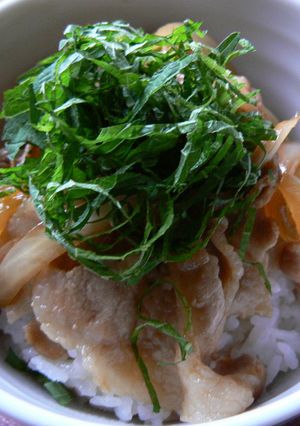 簡単❤フライパンで豚丼-レシピのメイン写真