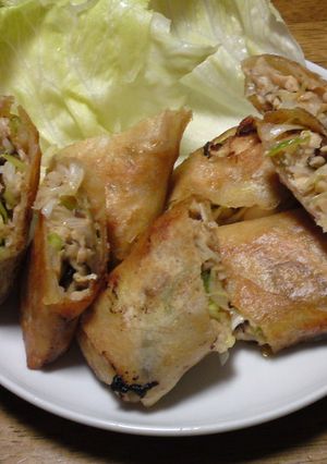 ささみの野菜たっぷり春巻き-レシピのメイン写真