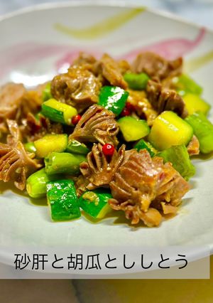 砂肝と胡瓜とししとうの炒め物-レシピのメイン写真