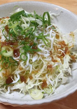 九条ねぎとしらすのキャベツサラダ-レシピのメイン写真