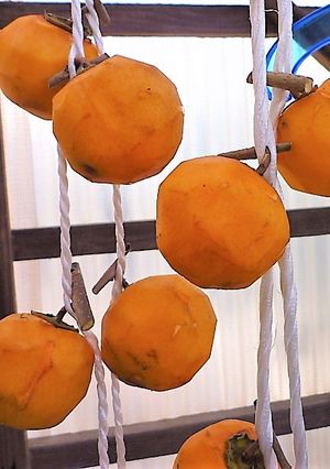 干し柿作り-レシピのメイン写真
