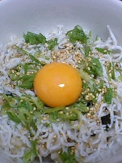 絶品しらす丼-レシピのメイン写真