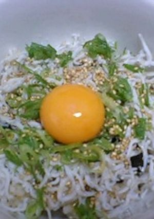 絶品しらす丼-レシピのメイン写真