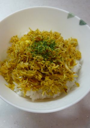 しらす入りカレー-レシピのメイン写真