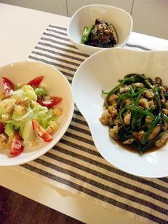 豚肉の青椒肉絲(チンジャオロース)-レシピのメイン写真