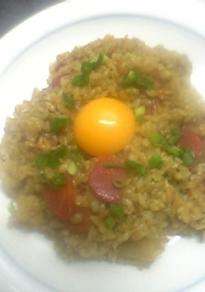いんちきドライカレー(^0^)♪-レシピのメイン写真