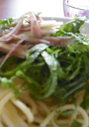 初夏の香り❤薬味pasta-レシピのメイン写真