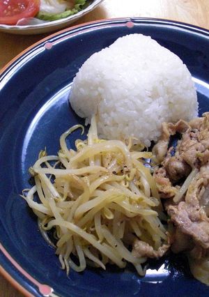お酢で仕上げる豚もやしカレープレート-レシピのメイン写真