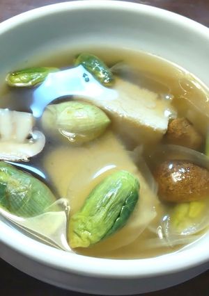 イタドリのサシボ・茸・冷凍豆腐のスープ-レシピのメイン写真