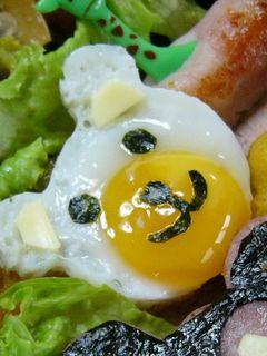 お弁当に♪うずらの目玉焼きくまさん。-レシピのメイン写真