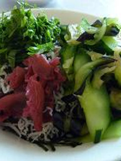 夏野菜で冷たいお茶漬け-レシピのメイン写真