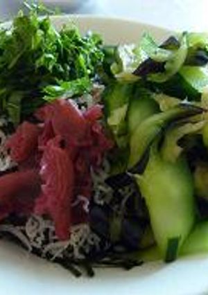 夏野菜で冷たいお茶漬け-レシピのメイン写真