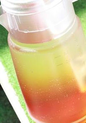 SUN TEA-レシピのメイン写真