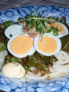 夏レシピ!サラダうどん-レシピのメイン写真