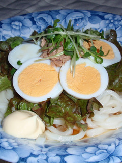 夏レシピ!サラダうどん-レシピのメイン写真