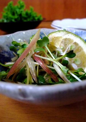 【箸休め】胡瓜と薬味の夏の爽やかサラダ-レシピのメイン写真