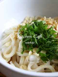 ぶっかけおろしうどん-レシピのメイン写真