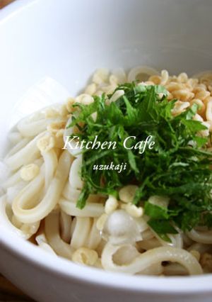 ぶっかけおろしうどん-レシピのメイン写真