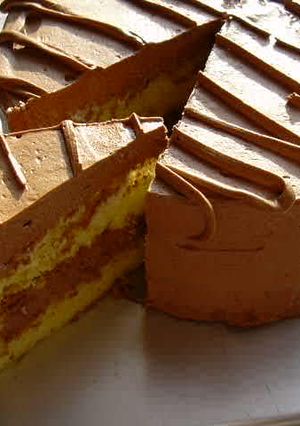 チョコレートレアケーキ-レシピのメイン写真