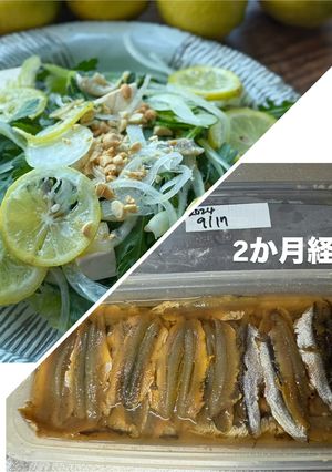 横浜発♡小鰯で自家製アンチョビと魚醤-レシピのメイン写真
