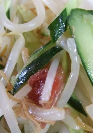 レンジで簡単、もやしときゅうりの和え物-レシピのメイン写真