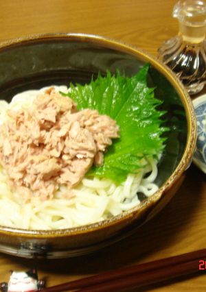 おもいっきり手抜きな★冷やしうどん-レシピのメイン写真